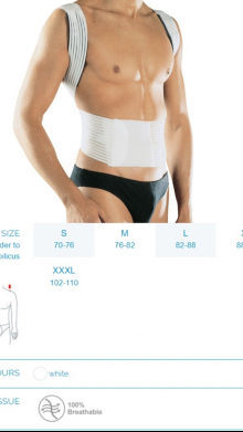 PAVIS 576 ALAT PENYANGGA PUNGGUNG CLAVICLE SUPPORT UKURAN S M XXL
