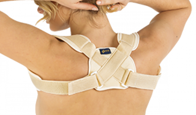 PAVIS 577 ALAT PENYANGGA PUNGGUNG CLAVICLE STRAP UKURAN S L